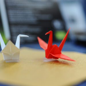 Gadget & Gift